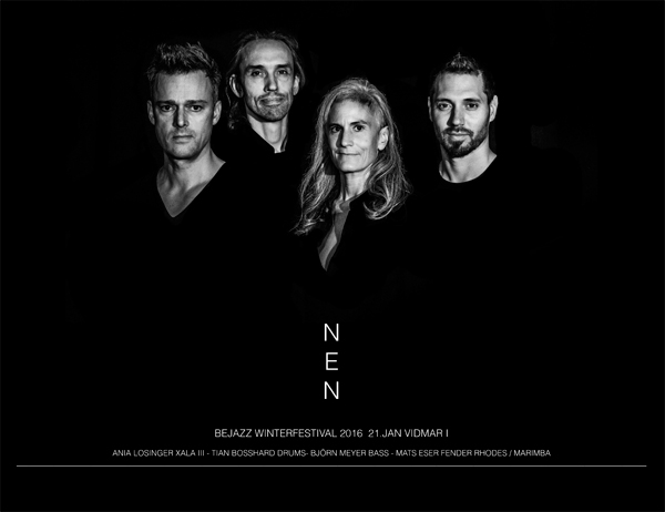 NEN-web